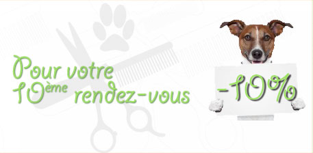 Remise de 10% pour votre dixième toilettage canin