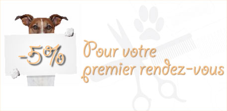 Remise de 5% pour votre premier toilettage canin